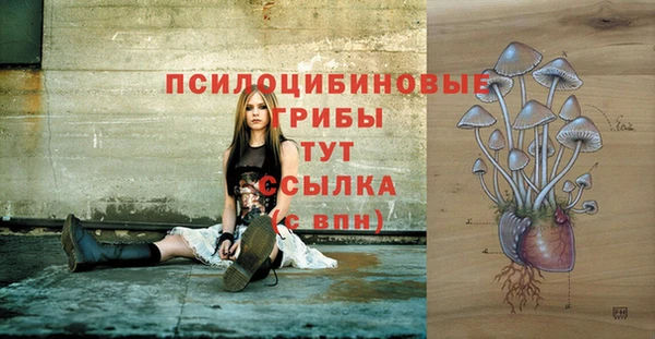 дживик Карталы