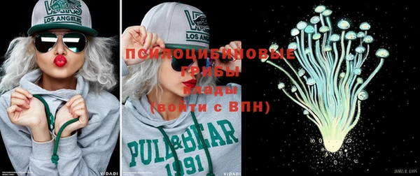 каннабис Каменногорск
