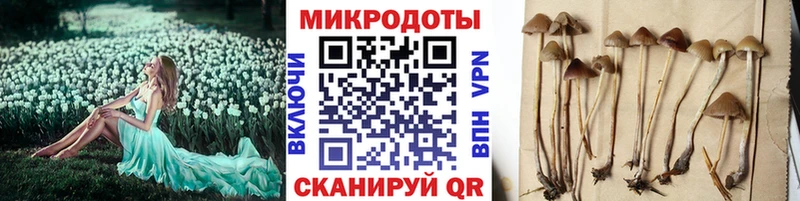 МЕГА ссылка  Бикин  Псилоцибиновые грибы GOLDEN TEACHER  цены  